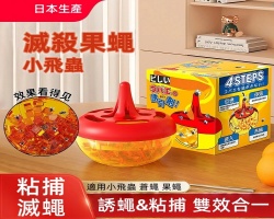 小飛蟲誘捕器